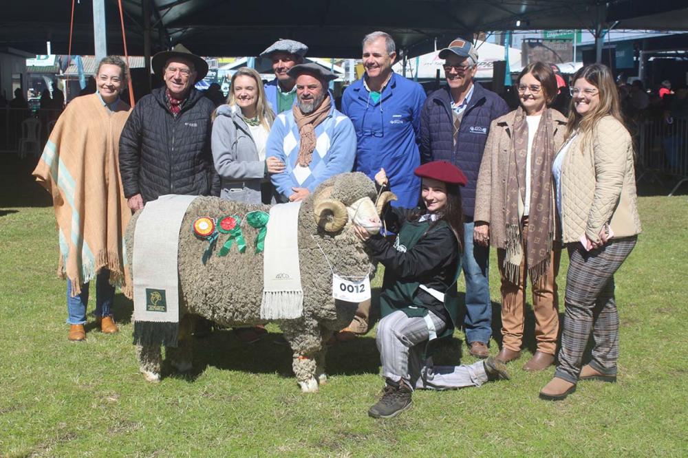 Merino Australiano Macho - Crédito Érico Fabres Divulgação
