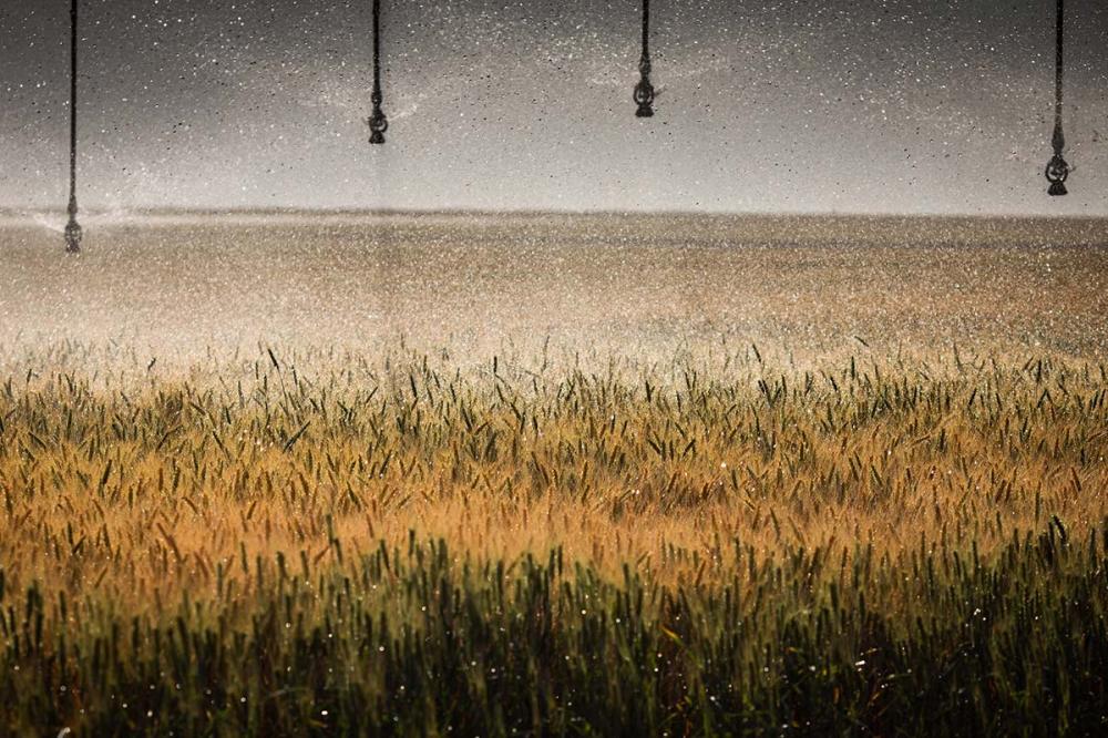 Na agropecuária as outorgas para captação superficial são aplicadas para estabelecer o uso de uma quantidade específica da água de corpos d'água como rios, córregos, lagos ou açudes para atividades relacionadas à produção de alimentos e à criação de anima