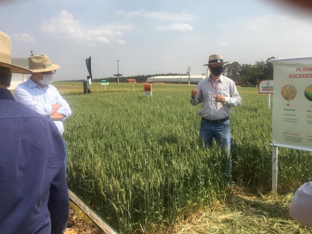 No período da tarde, a equipe visitou o Show Rural Coopavel – Edição de Inverno, acompanhada do presidente da cooperativa, Dilvo Grolli, e de técnicos da entidade. Fotos AEN.