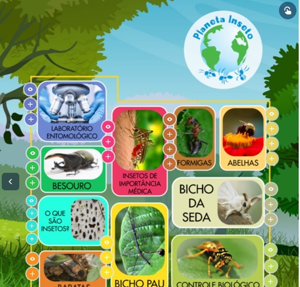 Com esse projeto, pessoas de fora da cidade de São Paulo podem conhecer a exposição e saber mais sobre os insetos, que são muito importantes para o meio ambiente e para a produção agrícola. 