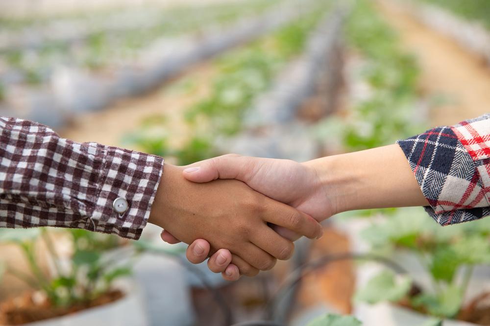 As cooperativas ocupam uma posição relevante, pois cerca de dois terços da produção agropecuária contam com alguma participação direta das cooperativas. Foto: Imagem de jcomp no Freepik