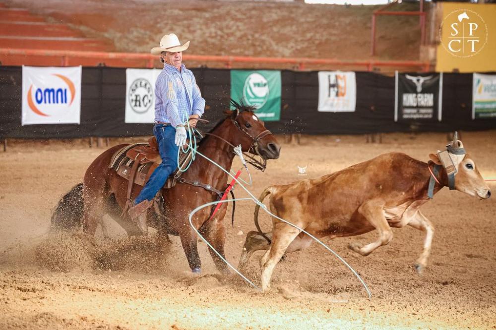 Fotos: Divulgaçao/Semana Prudentina do Cavalo de Trabalho