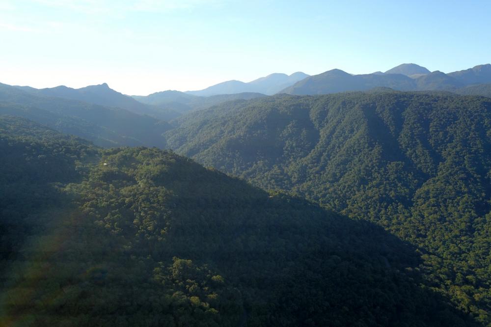 Com áreas verdes, 98 cidades do Paraná têm grande controle sobre emissões de carbono Foto: José Fernando Ogura/Arquivo AEN