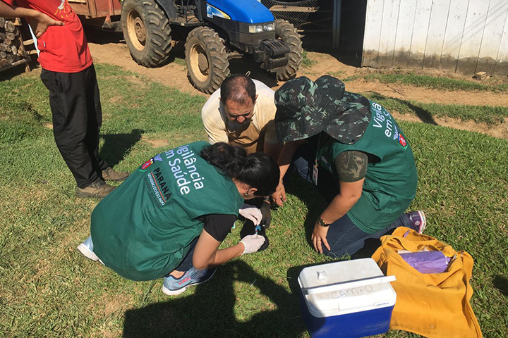 Bloqueio vacinal contra raiva é realizado no Noroeste do Paraná . Foto:SESA