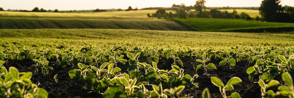 Os critérios para a divisão do Paraná em três regiões tiveram como base a regionalização dos testes de Valor de Cultivo e Uso para a indicação de cultivares de soja, da Empresa Brasileira de Pesquisa Agropecuária (Embrapa) Soja.