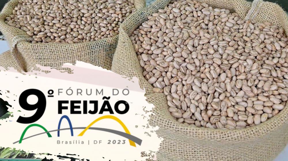 O tema dessa edição é “Segurança Alimentar – Irrigação é Fundamental”, com foco em debater assuntos de alta relevância para todos os elos dessa cadeia.