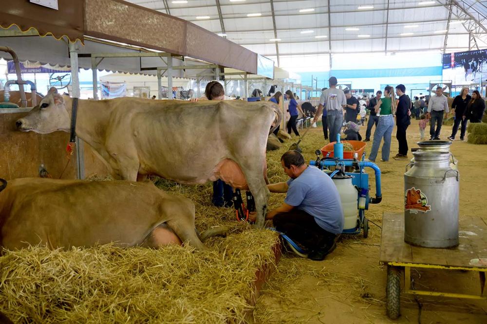 Paraná tem nove cidades na liderança da produção agropecuária nacional