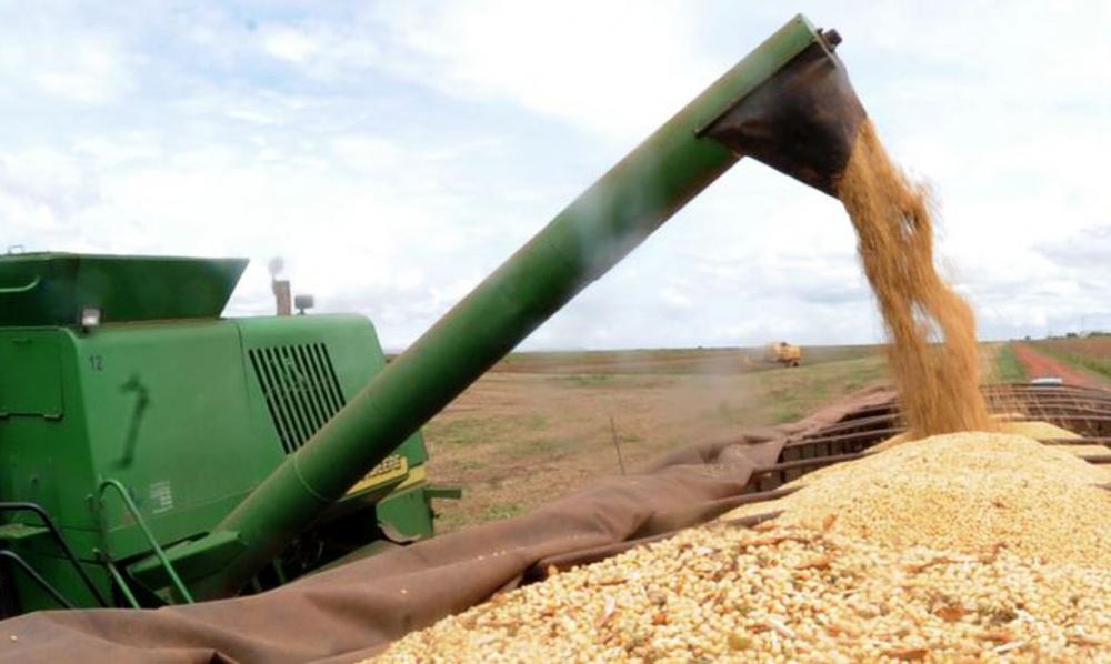 Governo espera aumento da safra, para elevar o PIB — Foto: Arquivo Agência Brasil