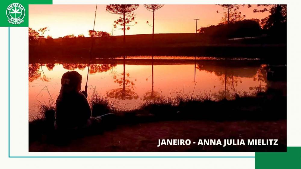 Uma década de capturas memoráveis que celebram o cotidiano do produtor rural e as paisagens deslumbrantes da região. Suas fotos podem iluminar o Calendário 2024. Em 2023, a foto de Anna Julia Mielitz foi a vencedora.