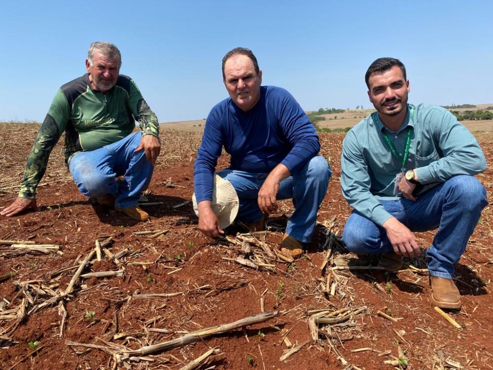 O Rally Cocamar de Produtividade, em sua 9ª temporada, acompanha o ciclo da soja do pré-plantio à colheita, ouvindo os produtores, acompanhando seu dia a dia e valorizando as boas práticas agrícolas. Fotos Cocamar