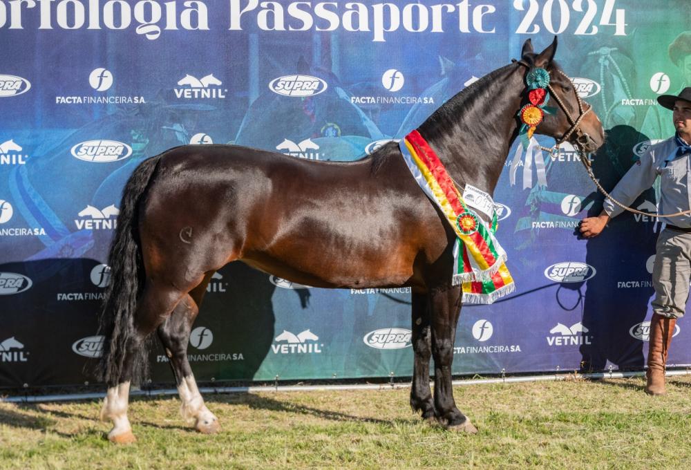 Foto: João Morais/Divulgação (Basca Hanna)