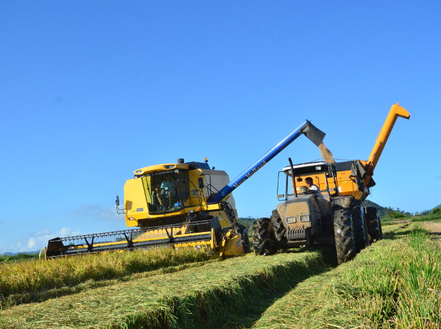 De janeiro a julho aproximadamente 87% da produção já havia sido comercializada. Foto Epagri