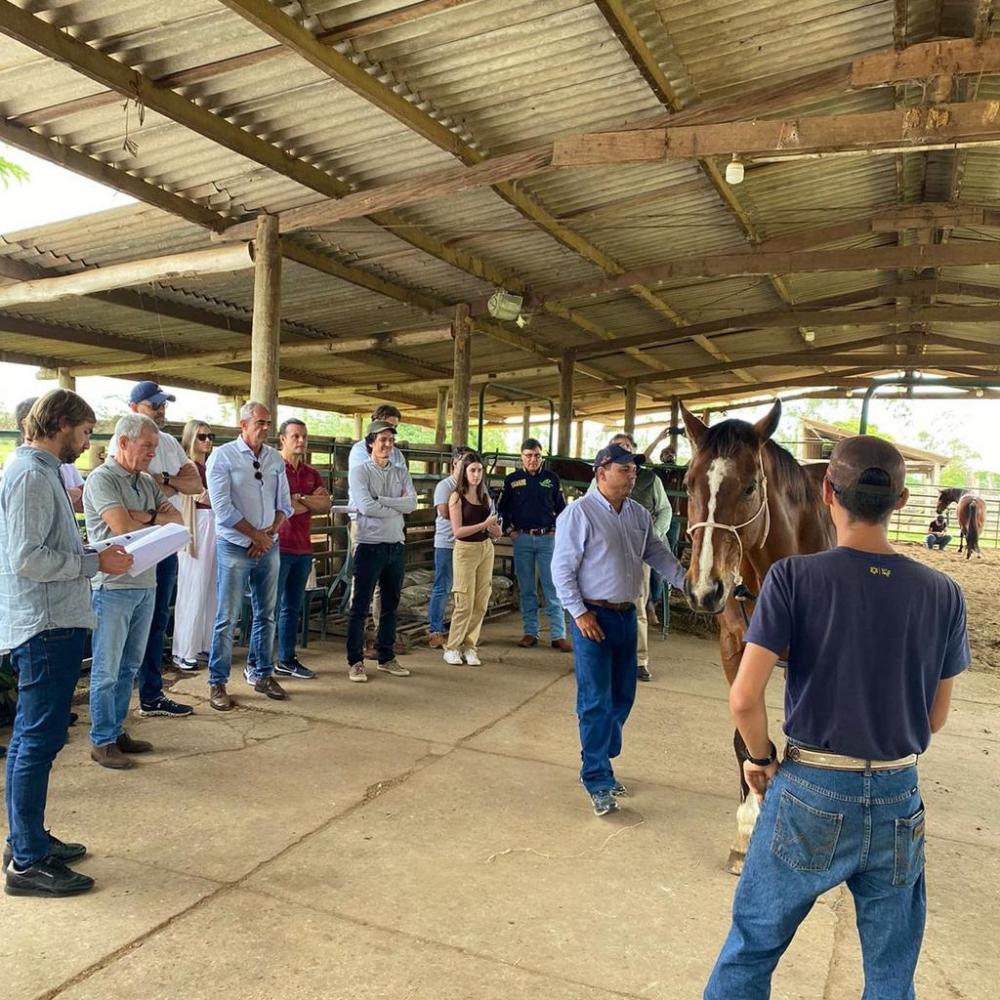 Fotos: Divulgação/ABCCA