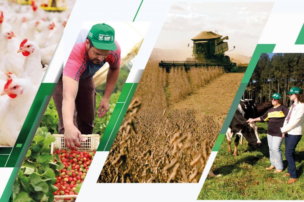 O proprietário rural que declarar o ITR fora do prazo pagará multa de 1% ao mês, calculada sobre o imposto devido e considerando uma parcela mínima de R$ 50.