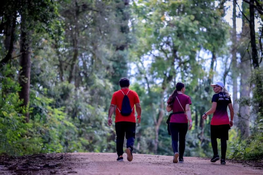 Caminhadas na Natureza já injetaram R$ 1,2 milhão nas economias locais em 2023 Foto: IDR
