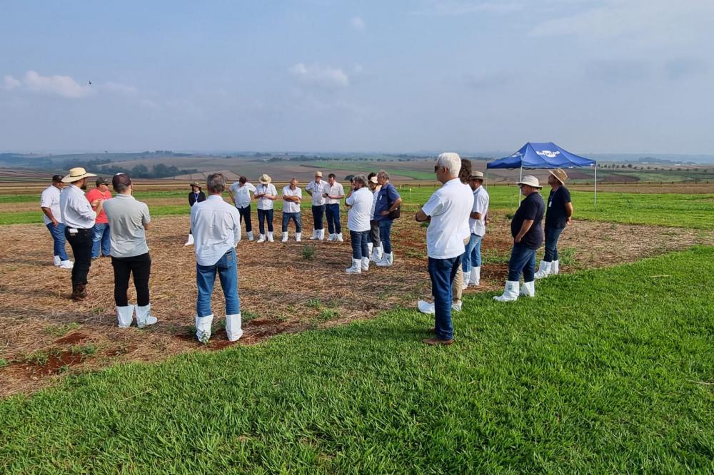 Adoção de boas práticas agrícolas comemora 10 anos de resultados no Paraná, com redução de mais de 50% no uso de inseticidas Fotos: IDR-PR