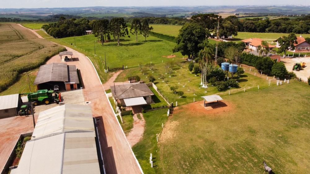 No início deste ano, a Pau Furado foi a primeira propriedade de um cooperado da Frísia a comercializar créditos de soja sustentável. A negociação foi realizada pela própria cooperativa. Foto Lucas Dziubate. 