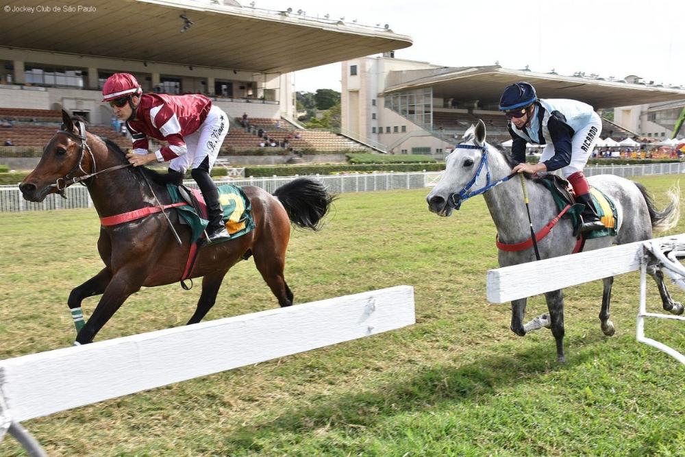 Foto: Divulgação/Jockey Club de São Paulo