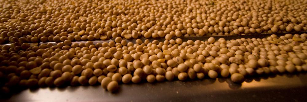 A argumentação da FAEP foi detalhada em ofício encaminhado à Confederação da Agricultura e Pecuária do Brasil (CNA), em 25 de outubro. Foto Faep