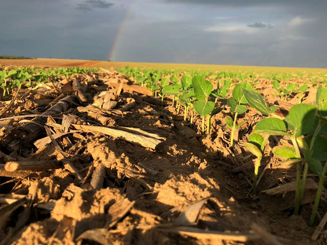 PlantUP é uma tecnologia digital colaborativa de compartilhamento de informações agrícolas, que apresenta resultados práticos aos produtores rurais para auxiliar nas decisões, visando aumento de produtividade sem elevação de custos.