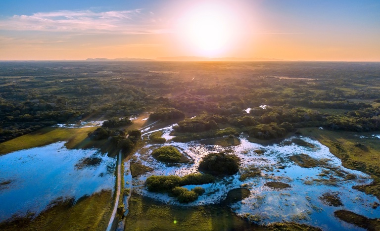 DIA NACIONAL DO PANTANAL - Divulgação Mapa