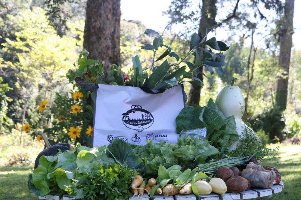 O Projeto visa promover um mercado de circuito curto, garantindo relações justas, preços vantajosos para agricultores e consumidores, e transparência mútua. Fotos IDR-Paraná