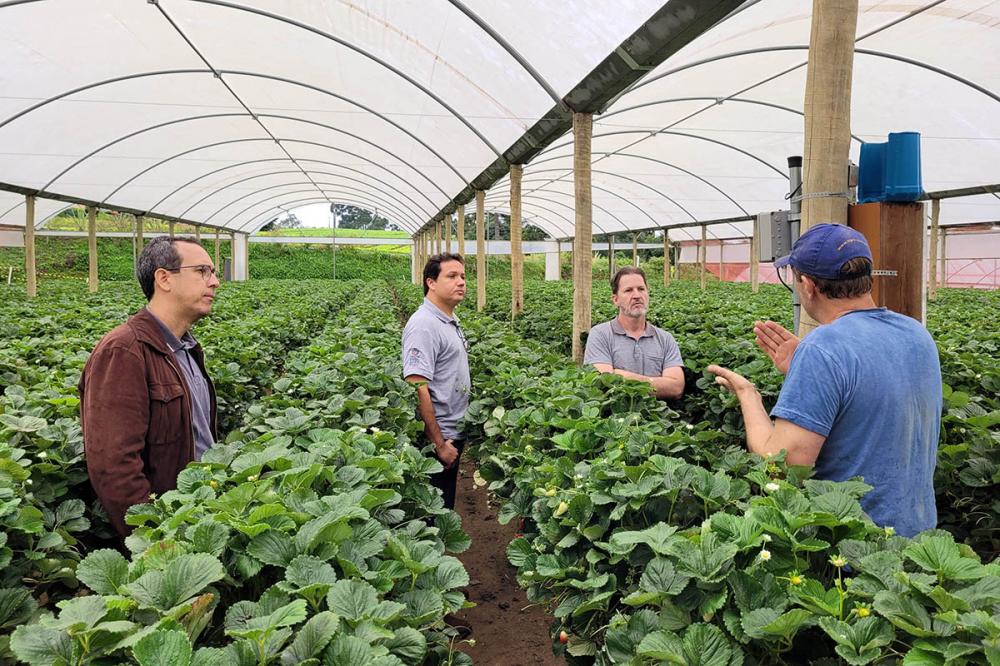 Projeto de pesquisa vai testar tecnologia para diminuir desperdício de água na irrigação Foto: IDR-PARANÁ