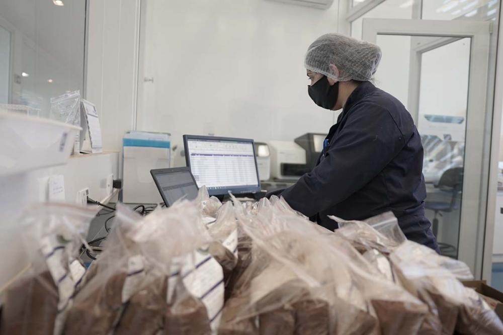 O Smartdata reúne informações próprias de mais de 400 cidades brasileiras com foco no cultivo de soja, milho, cana, café e trigo. Fotos Divulgação