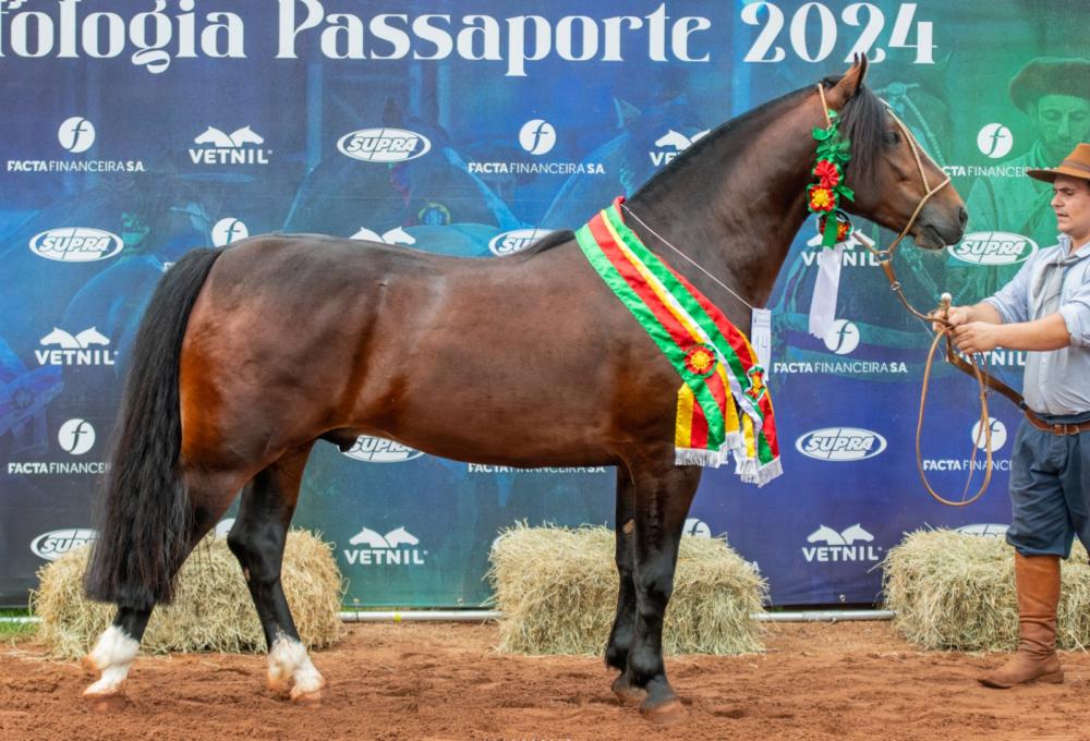 Foto: Felipe Ulbrich/Divulgação (Orgulho da Pátria Xucra)