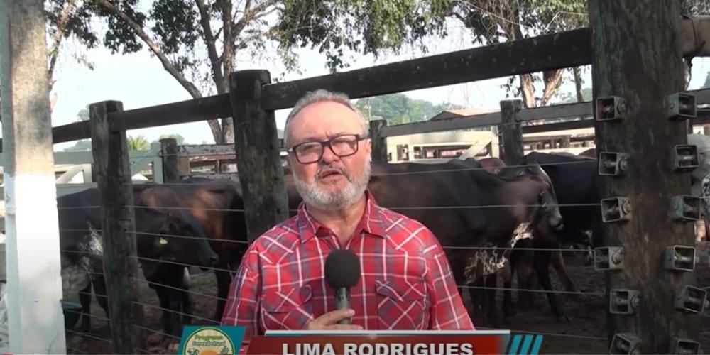 Lima Rodrigues