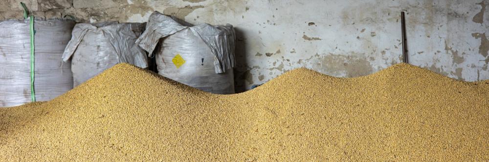 Mudança provocaria prejuízos de pelo menos R$ 3,5 bilhões por safra aos produtores rurais. Foto Faep