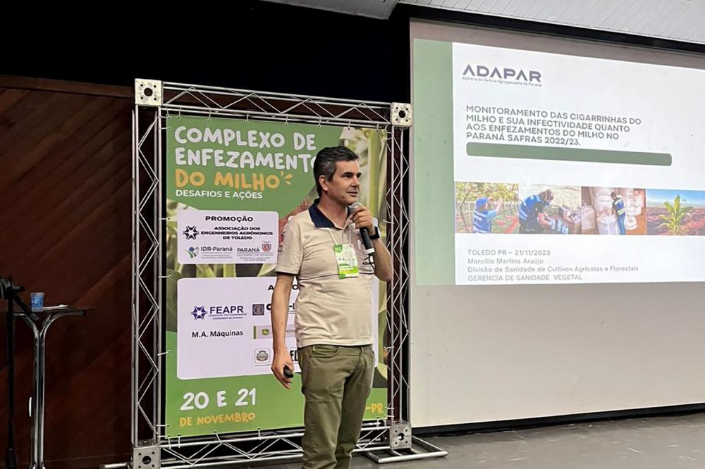 ADAPAR orienta produtores e técnicos sobre o Complexo dos Enfezamentos do Milho Foto: Adapar