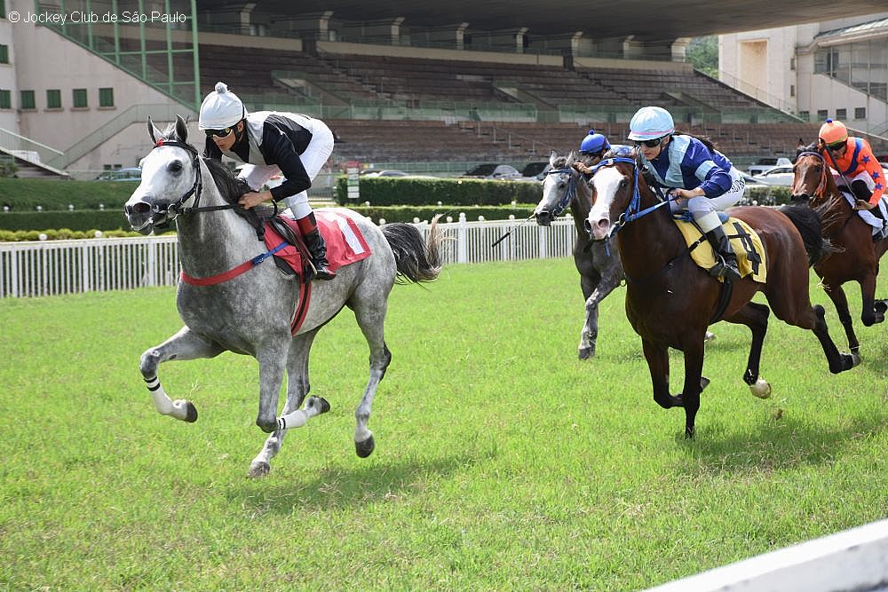 Fotos: Divulgação/Jockey Club de São Paulo