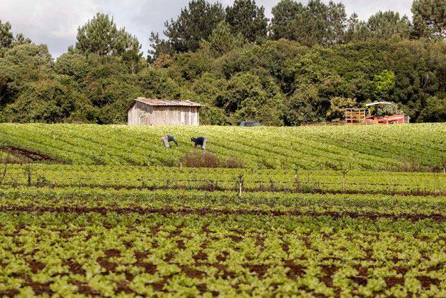 As emendas vão beneficiar em torno de 13.400 agricultores familiares do Paraná.