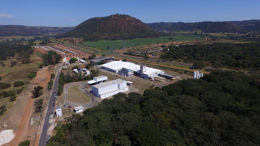 Está aquecida a procura pelas indústrias por farinha de tilápia pois se trata de um ingrediente importante na composição nutricional