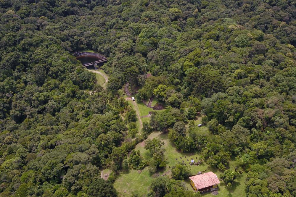Desmatamento ilegal da Mata Atlântica reduz 64% no Paraná em 2023 Foto: José Fernando Ogura/Arquivo AEN