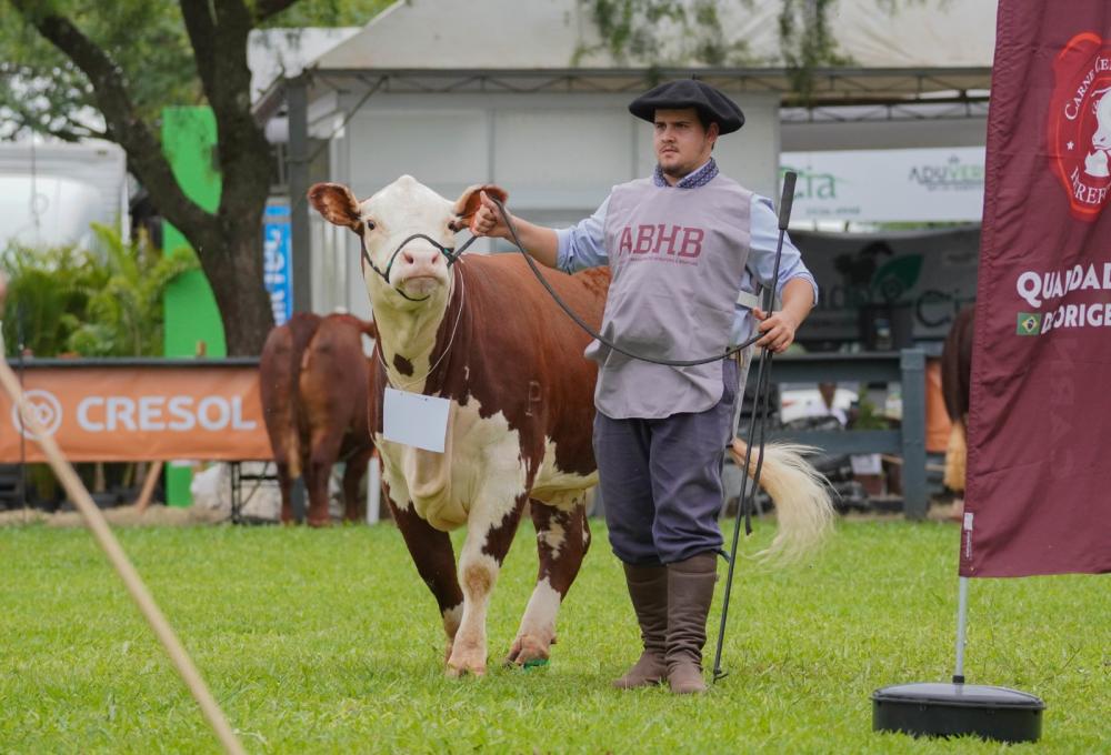 Foto: Pampa Remates/Divulgação