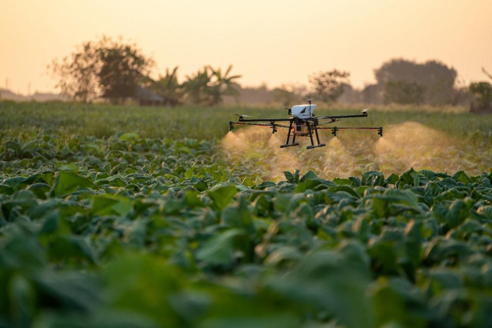 Pesquisas realizadas pela Embrapa Soja constataram o impacto positivo na produtividade das plantações com o uso de drones. Foto Divulgação