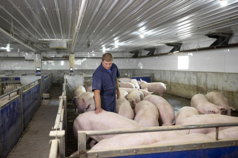 a Alltech atua de acordo com as demandas de mercado, realizando o planejamento da retirada dos promotores de crescimento para os clientes que o desejam para maior competitividade no mercado, sem perda de produtividade e mantendo eficiência na produção.