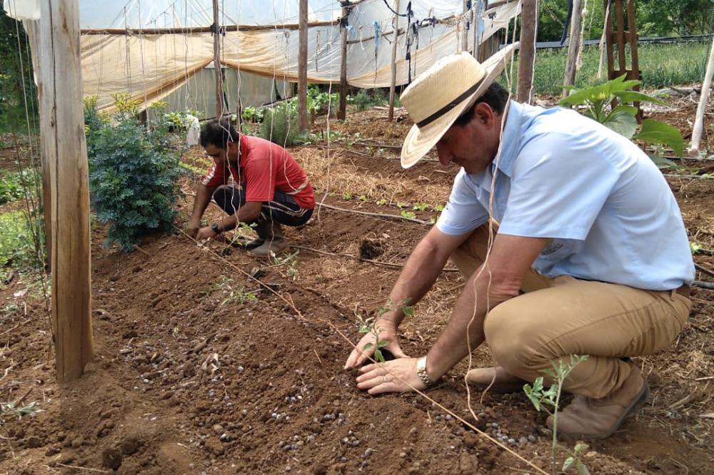 Trabalho de 700 extensionistas impulsiona pesquisa e produção agropecuária no Paraná Foto: IDR