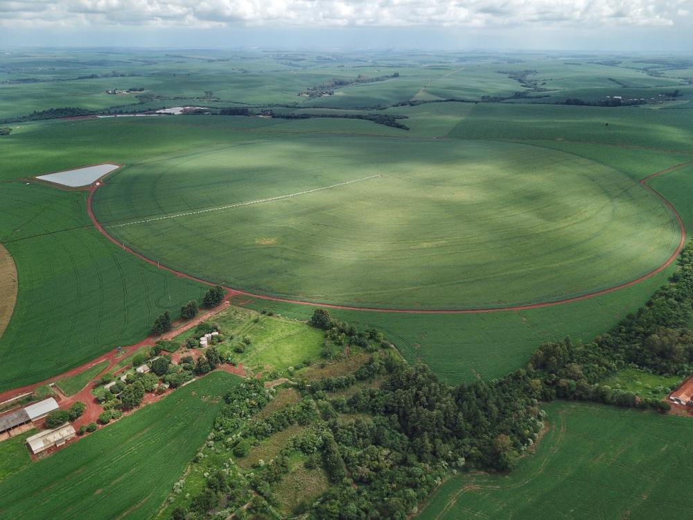 Com 312 mil hectares, produtores de milho terminam plantio da primeira safra Foto: Gilson Abreu/AEN