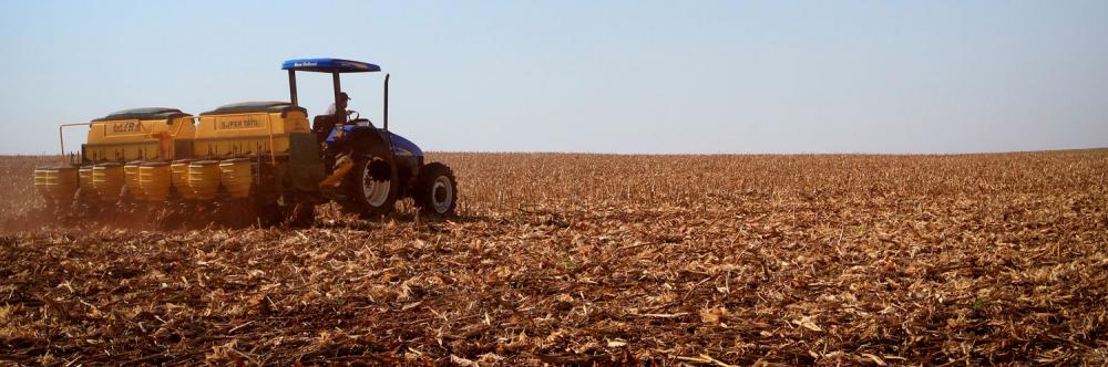 Agricultores de duas áreas do Estado têm até 31 de janeiro para realizar a semeadura. É preciso realizar um cadastro antecipado. Foto Faep