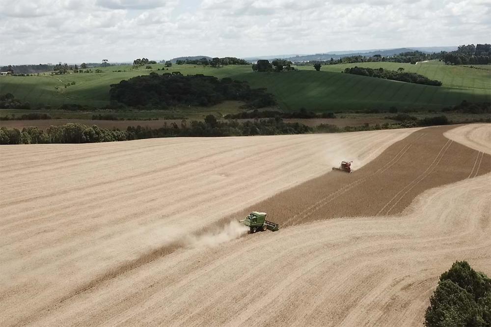 De acordo com a CNA, para cobrir uma área de aproximadamente 14 milhões de hectares, por exemplo, seriam necessários R$ 3 bilhões em recursos ao Programa de Subvenção ao Prêmio do Seguro Rural. Foto Toninho Anhaia