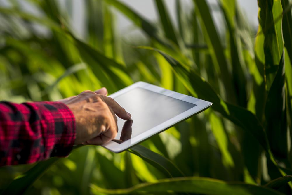 A formação oferece uma visão abrangente do setor, com foco nas tecnologias e inovações que estão transformando a maneira como a agricultura é praticada. Foto assessoria de imprensa