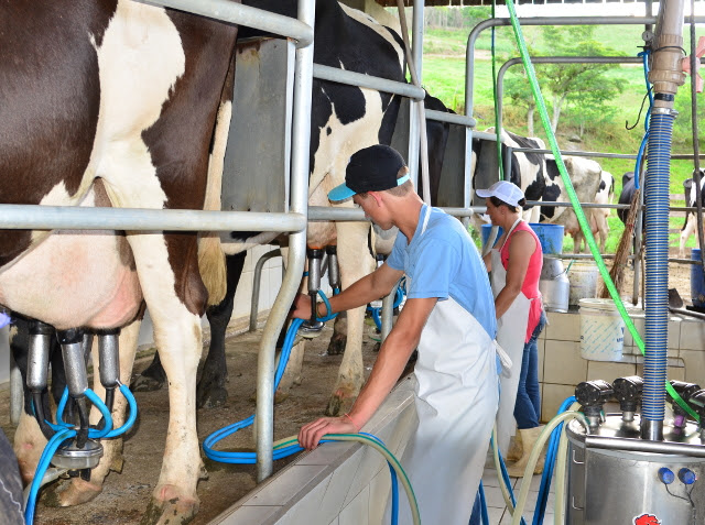 Produtores de leite receberam valores recordes em agosto