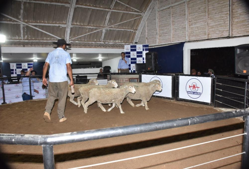 Foto: Gabriel Becco/Divulgação