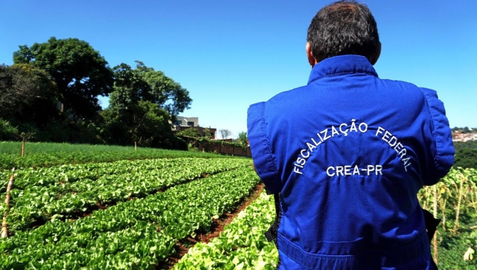 Objetivo da fiscalização é garantir assistência técnica adequada, por meio da presença do profissional responsável pela cultura, devidamente registrado e habilitado