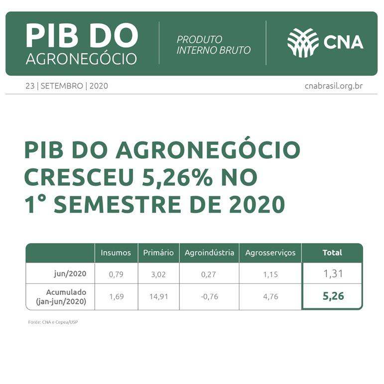 O PIB agrícola registrou alta de 2,93% nos primeiros seis meses deste ano, puxada pela atividade primária. Insumos e serviços também tiveram resultado positivo, enquanto a agroindústria teve retração.