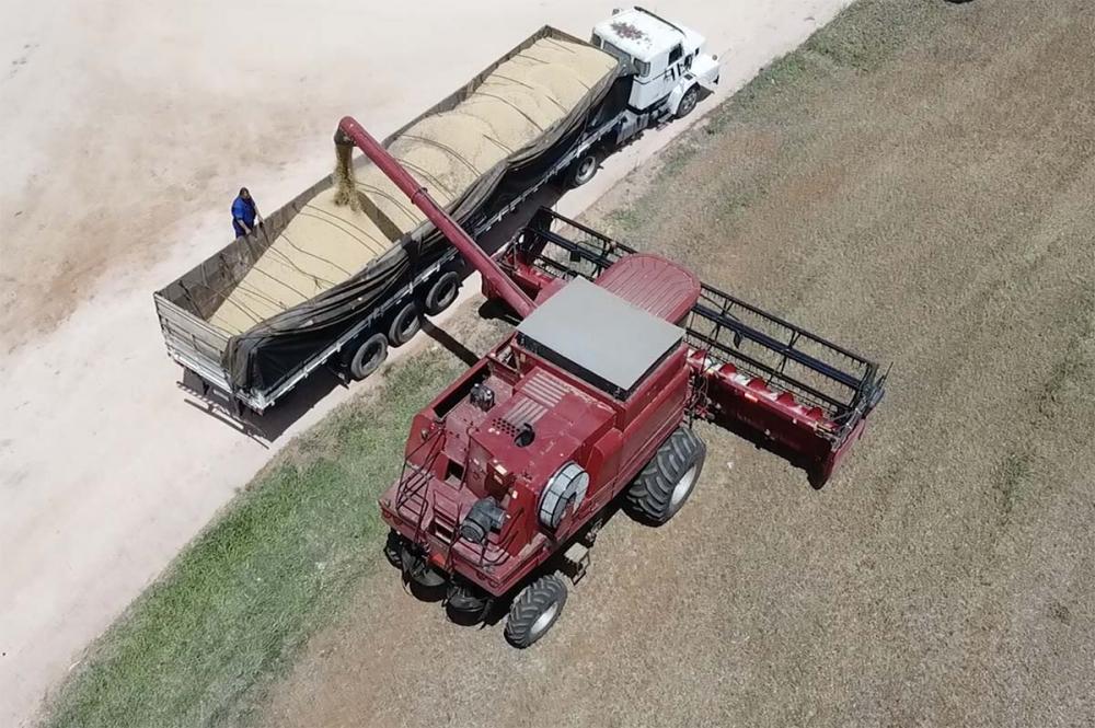 Os produtos do agronegócio respondem por 49,3% das exportações brasileiras no período. Em novembro, o total exportado foi de US$ 13,48 bilhões. Os dados são do Ministério da Agricultura e Pecuária (MAPA).  Foto Toninho Anhaia