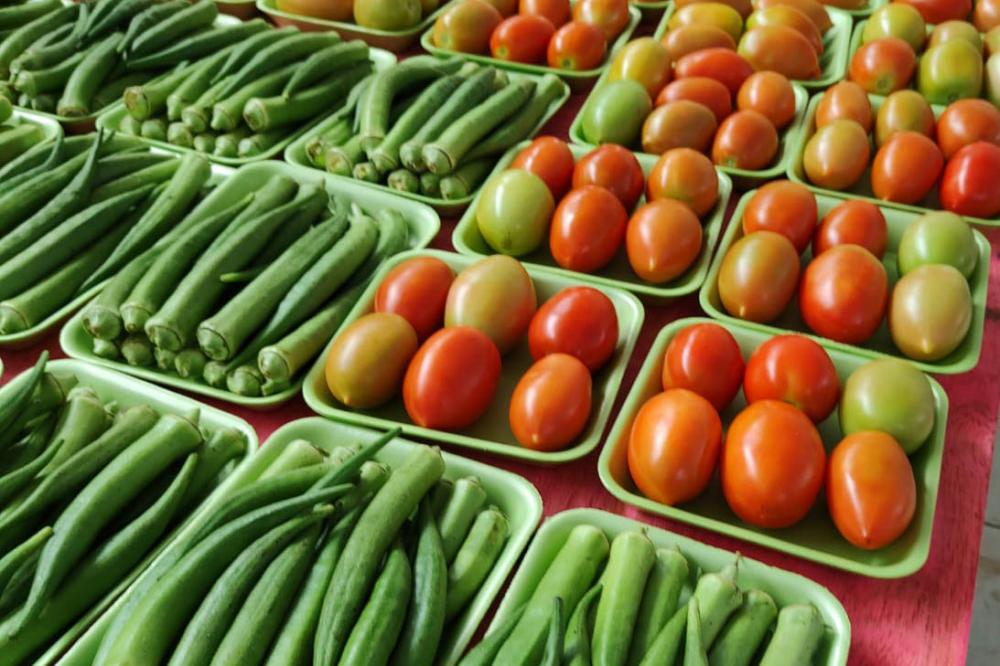 Segurança alimentar e investimentos na agricultura familiar receberam R$ 270 milhões em 2023 Foto: SEAB